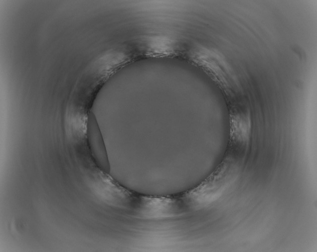 X0000111460621200908241320