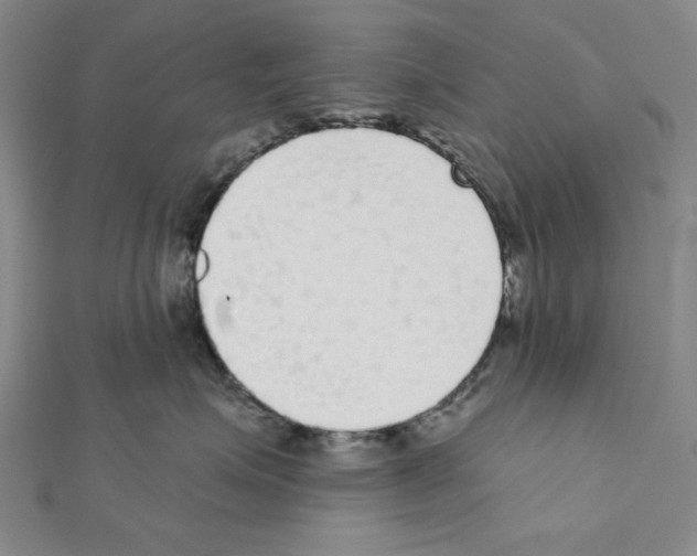 X0000111460623200908241320