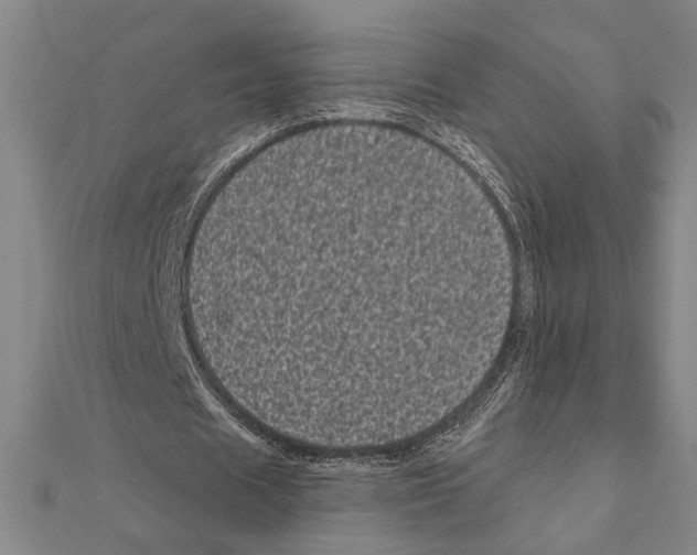 X0000111460625200908241320