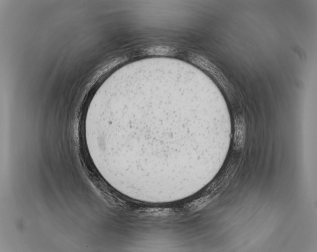 X0000111460626200908241320