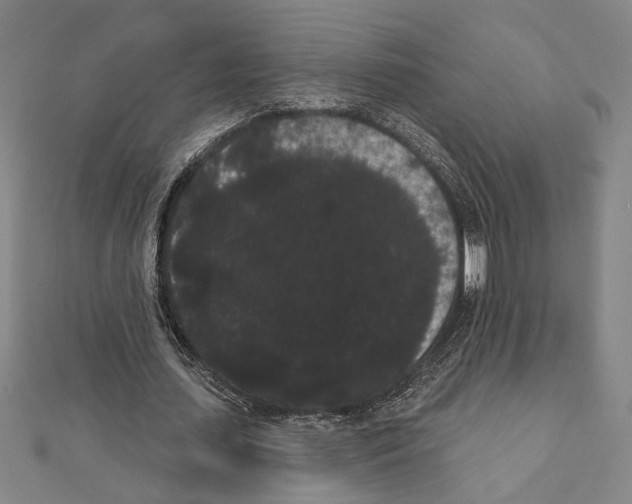 X0000111460627200908241320
