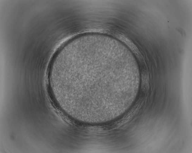 X0000111460628200908241320