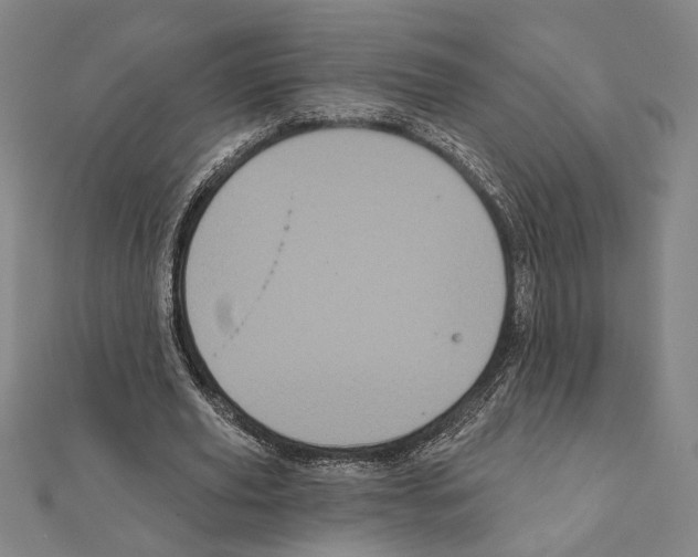 X0000111460629200908241320