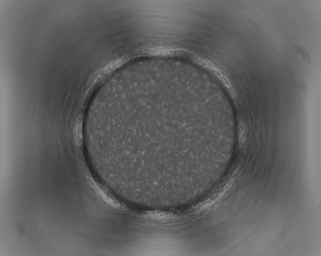 X0000111460633200908241320