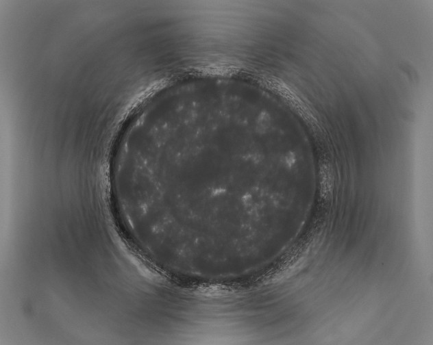 X0000111460634200908241320