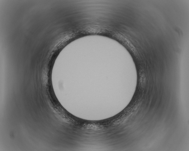 X0000111460635200908241320
