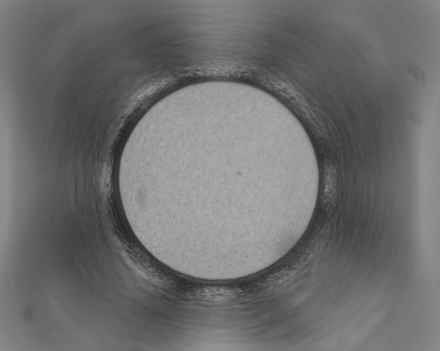 X0000111460636200908241320