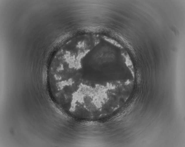 X0000111460637200908241320