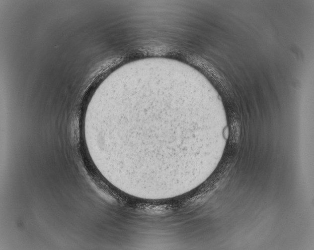 X0000111460638200908241320