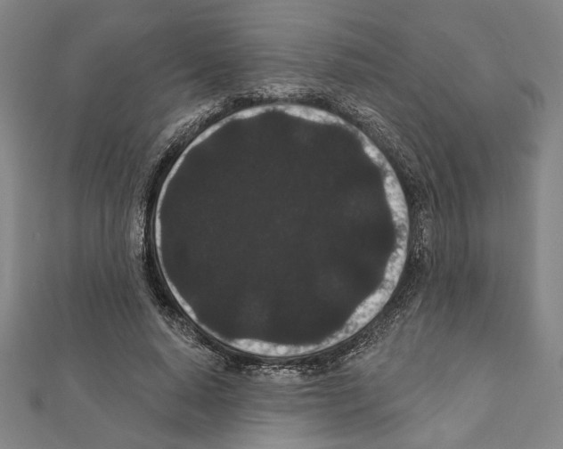 X0000111460640200908241320
