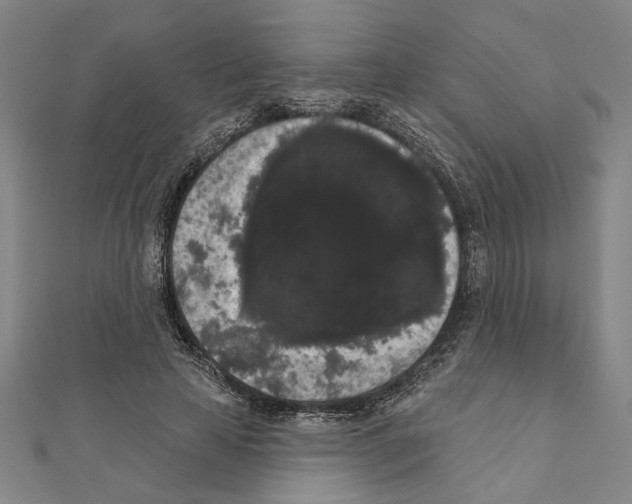 X0000111460641200908241320