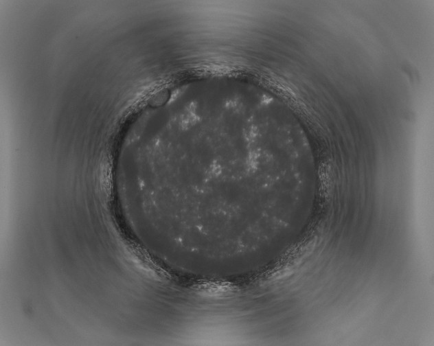 X0000111460642200908241320