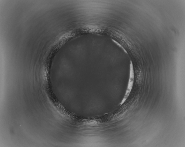 X0000111460643200908241320