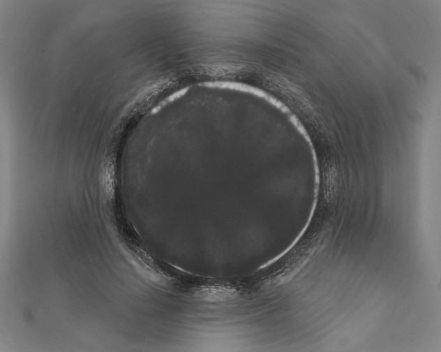 X0000111460644200908241320