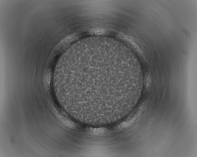 X0000111460645200908241320