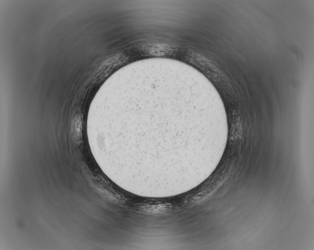 X0000111460646200908241320