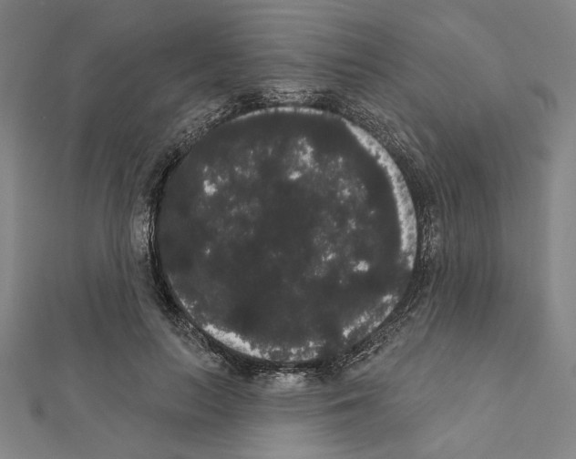 X0000111460647200908241320