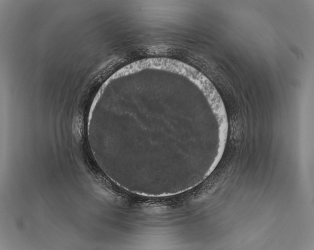 X0000111460648200908241320