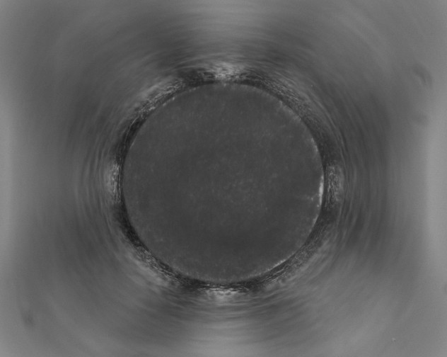 X0000111460650200908241320