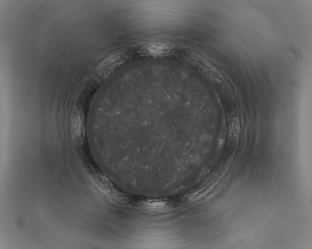 X0000111460651200908241320