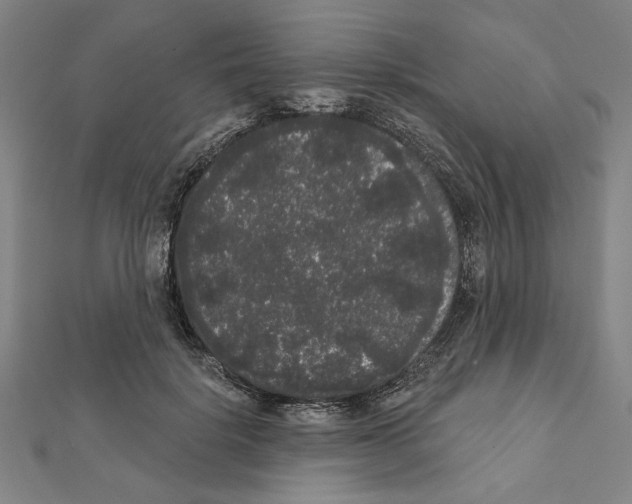 X0000111460652200908241320