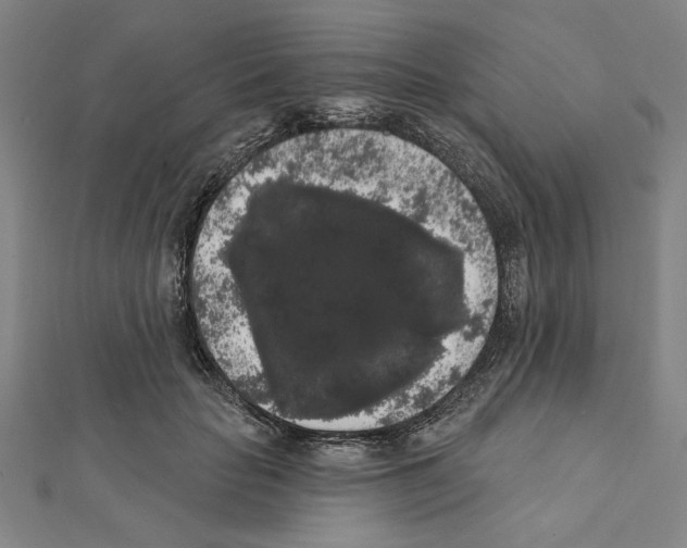 X0000111460653200908241320