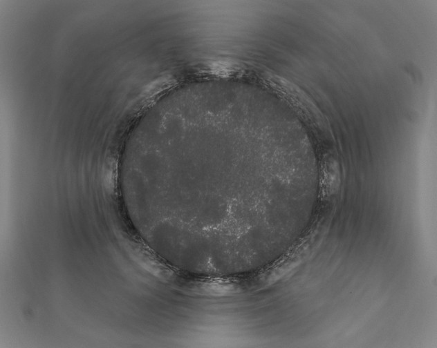 X0000111460656200908241320