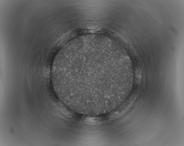 X0000111460657200908241320