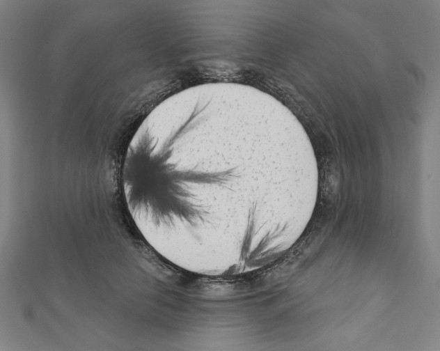X0000111460658200908241320