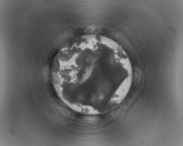 X0000111460659200908241320