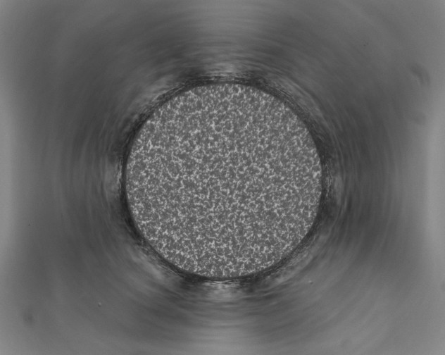 X0000111460660200908241320