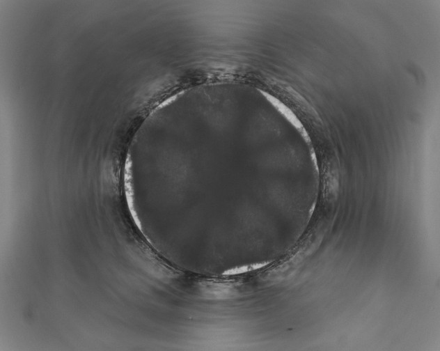 X0000111460661200908241320
