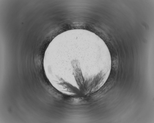 X0000111460662200908241320