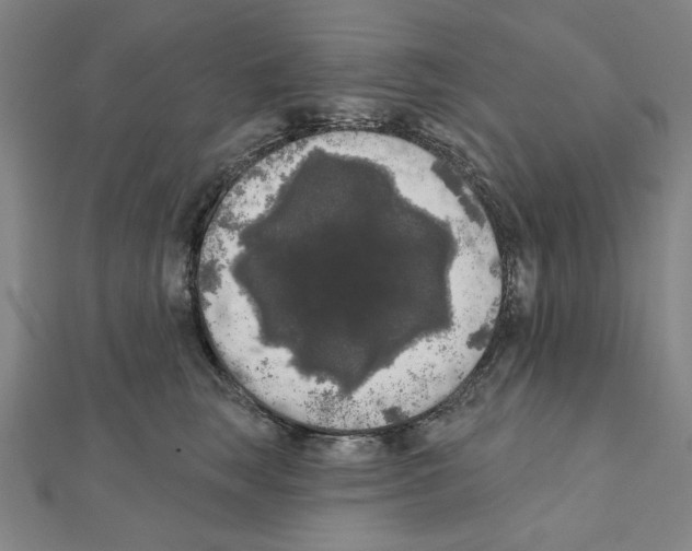 X0000111460663200908241320