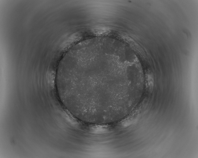 X0000111460664200908241320