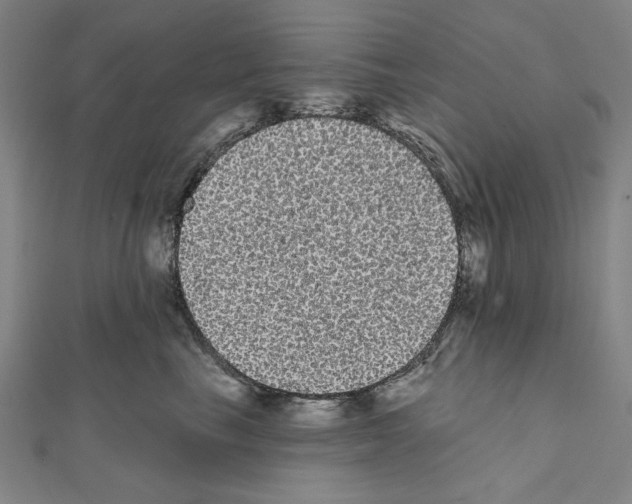 X0000111460665200908241320