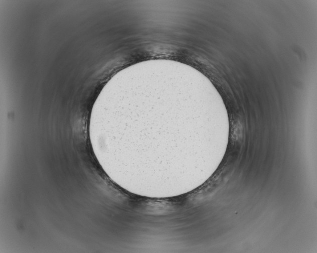 X0000111460666200908241320