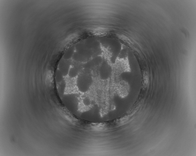 X0000111460667200908241320