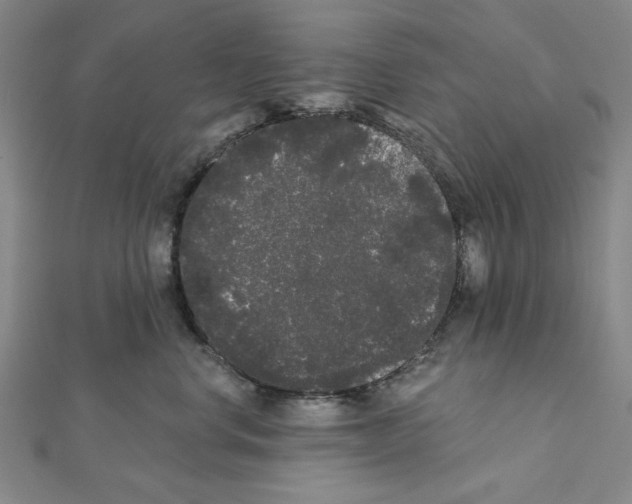 X0000111460668200908241320