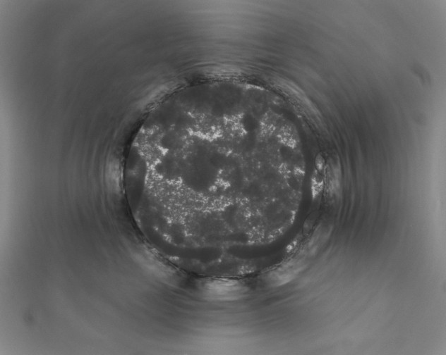 X0000111460669200908241320