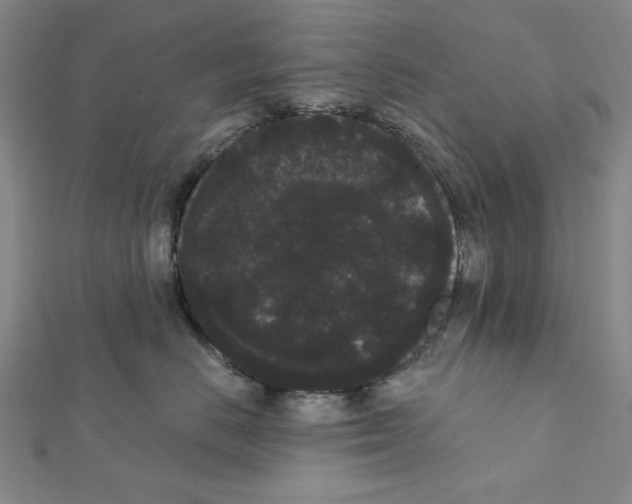 X0000111460670200908241320