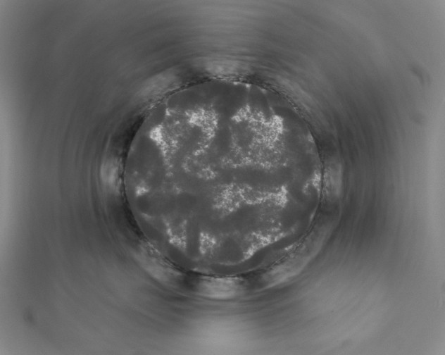 X0000111460671200908241320