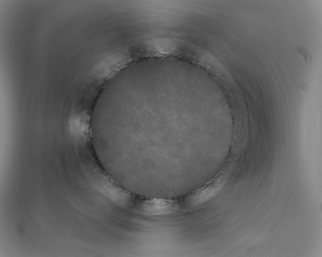 X0000111460672200908241320
