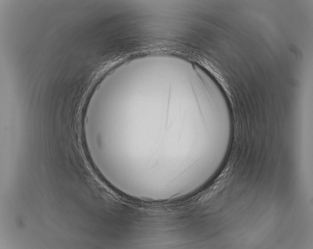 X0000111460673200908241320