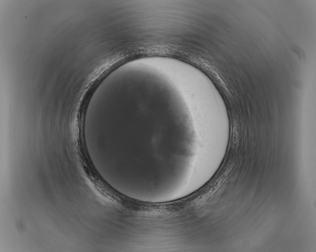 X0000111460674200908241320