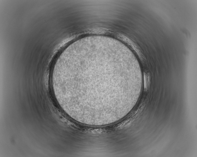X0000111460675200908241320