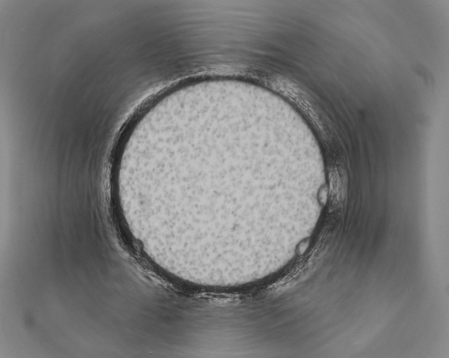 X0000111460676200908241320