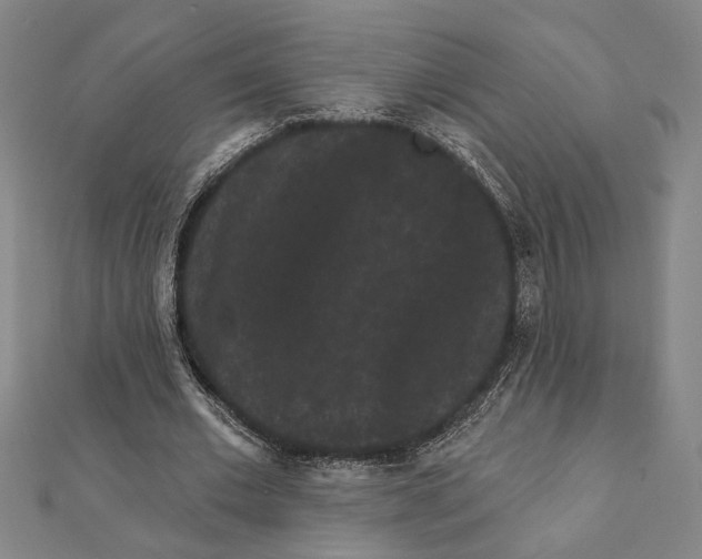 X0000111460677200908241320