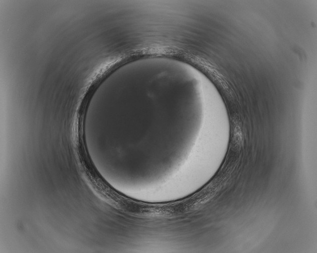 X0000111460678200908241320