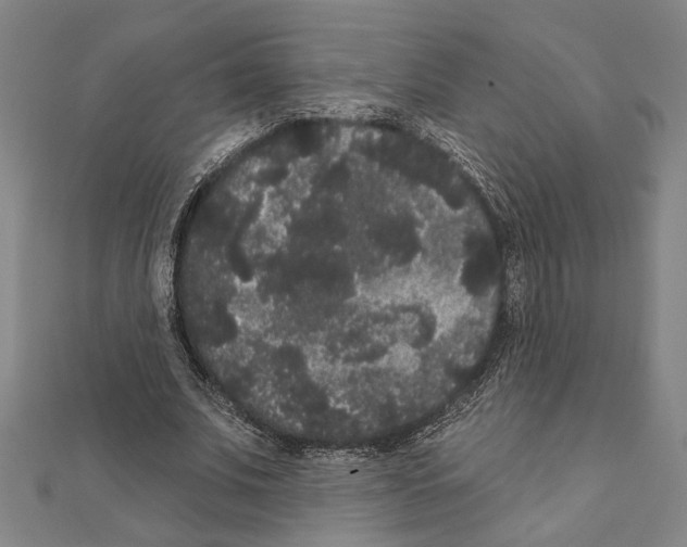 X0000111460679200908241320